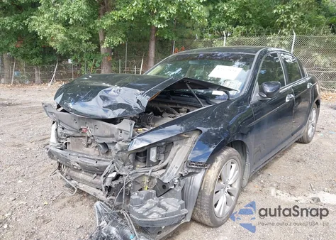 2011 Honda Accord 3.5 Ex-L from USA, damaged, VIN 1HGCP3F88BA026433